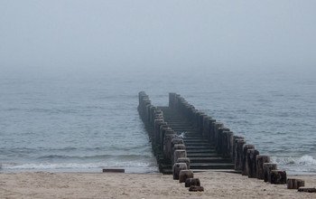 Brighton Beach Fog