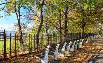 Park in Bay Ridge In NY